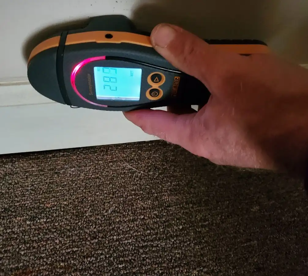 Moisture detection at baseboard during Sewage Cleanup & Sanitation in East Vincent